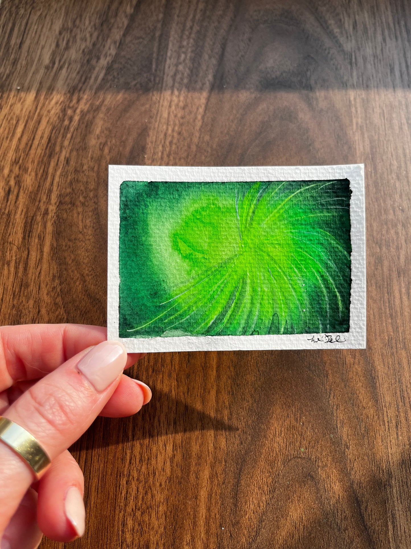 ACEO Partial Horsetail 2