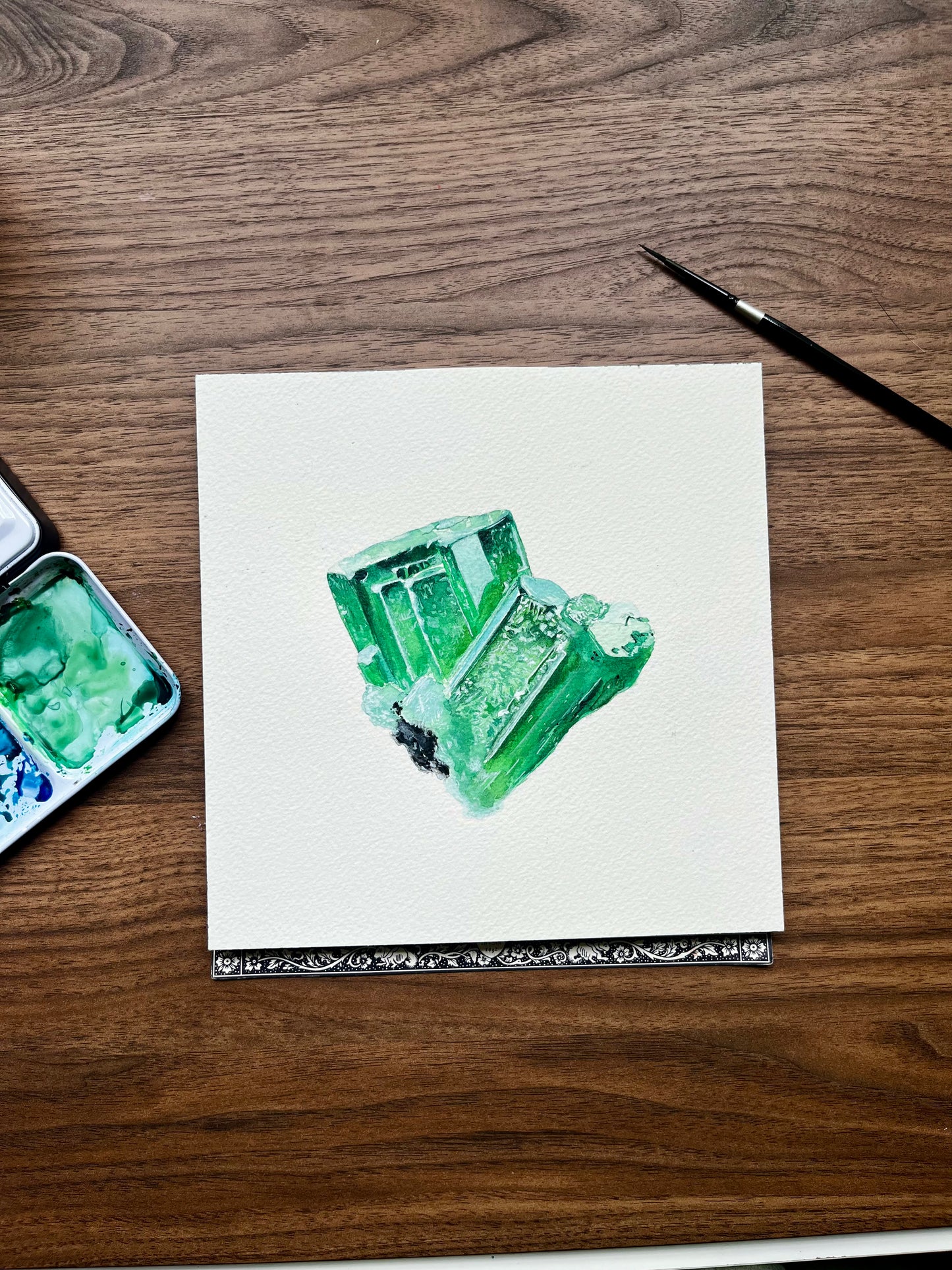Emerald Mineral Specimen 10x10 Print