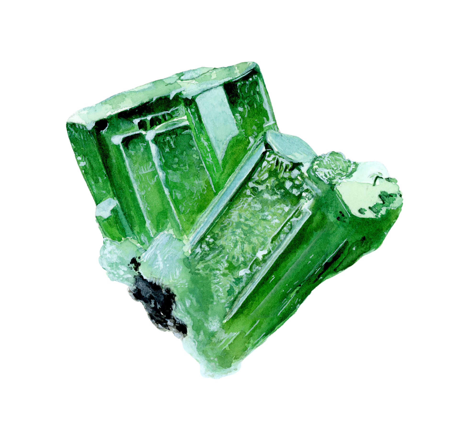 May’s birthstone is emerald. Mineral specimen from Arkenstone Minerals in Dallas, TX. 