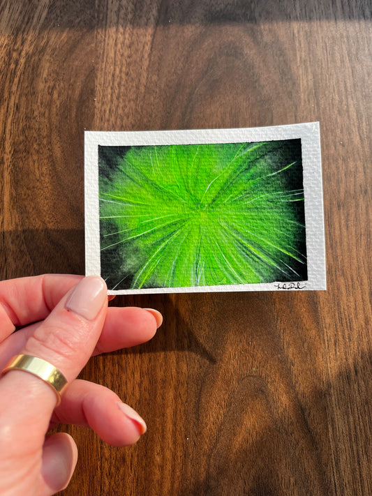 ACEO Full Horsetail