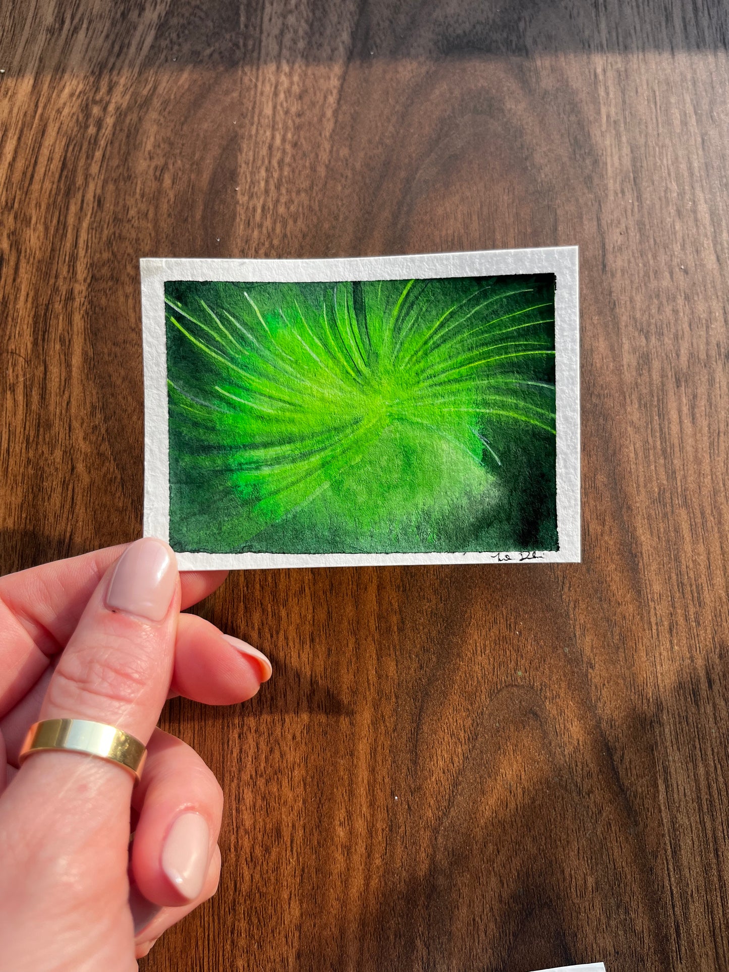 ACEO Partial Horsetail 1