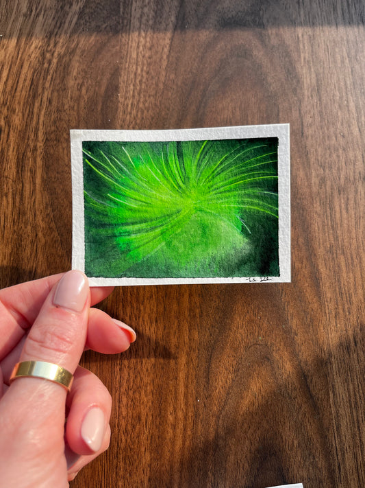 ACEO Partial Horsetail 1