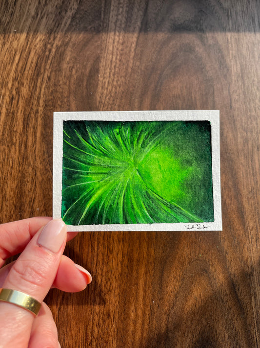 ACEO Partial Horsetail 3