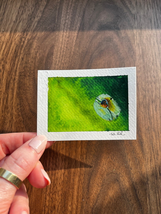 ACEO Lily Pad in Peridot