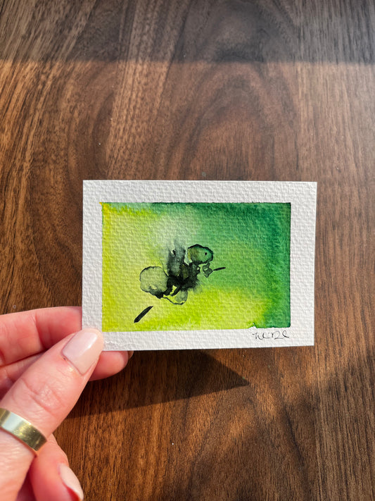 ACEO Inclusion Cluster in Tsavorite